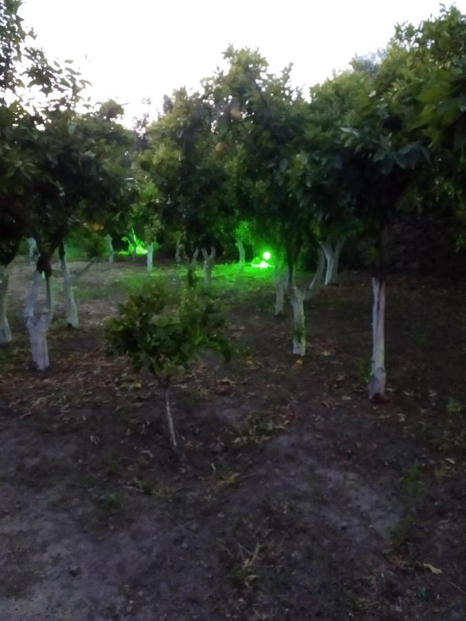 Περιβόλι Του Οδυσσέα Villa Volissos Екстериор снимка